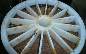 LY-200反渗透杀菌剂