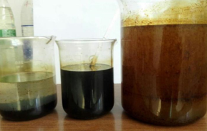 LY-T01焦化污水改质剂